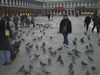 St Mark's Square, Venice