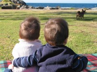 Picnic at Ulladulla