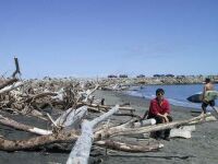 Typical NZ Beach