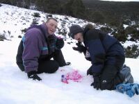 Nature's Snowcones!