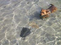 Leroy cooling off